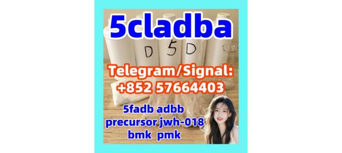 5cladba 5fadb adbb top cannabinoid molly dmf dmt