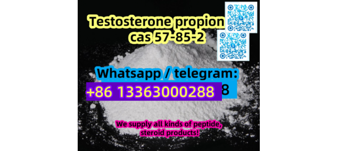 Testosterone propionate cas 57-85-2