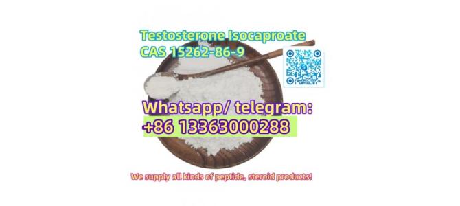 Testosterone isocaproate cas15262-86-9