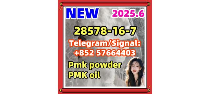 28578-16-7 ethyl glycidate New Pmk powder eutylone