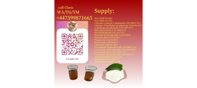 Procaine Base CAS 59-46-1