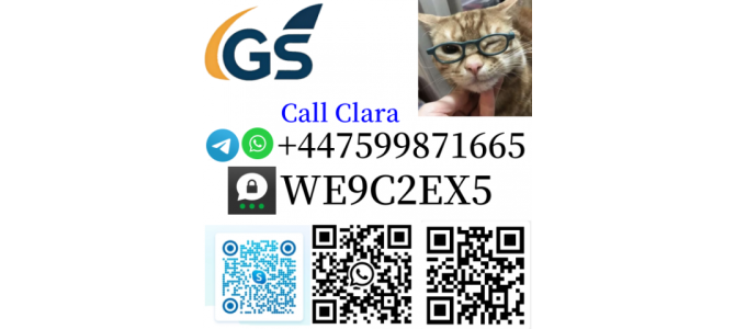 Procaine Hydrochloride CAS 51-05-8