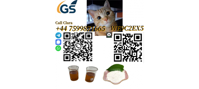 Procaine Base CAS 59-46-1