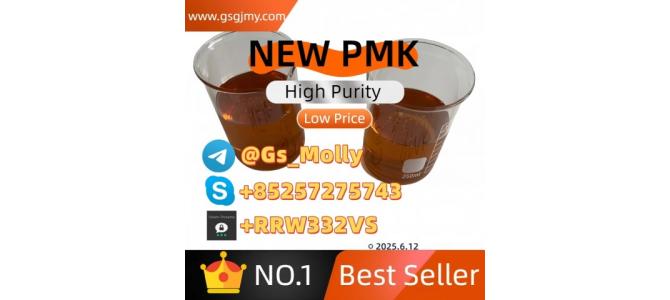 Wholesale New PMK Oil | GMP Standard | Bulk Supplier