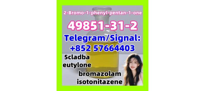 49851-31-2  2-Bromo-1-phenyl-pentan-1-one bmk pmk