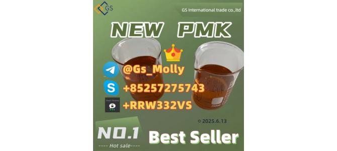 High-Purity GS New PMK – Trusted Supplier Worldwide