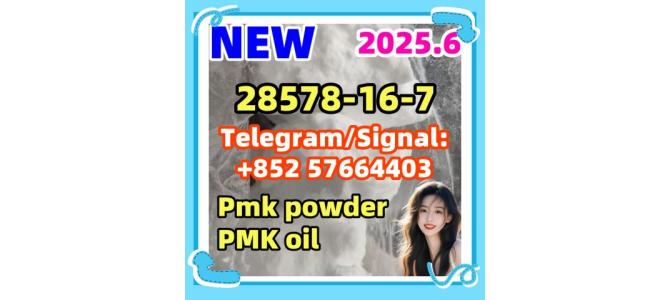 New Pmk 28578-16-7 ethyl glycidate bromazolam
