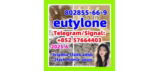eutylone 2fdck mdma 3mmc 802855-66-9 meth 5cladba