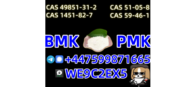 Procaine Base CAS 59-46-1