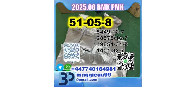 51-05-8 Procaine HCl bmk pmk 28578-16-7, 49851-31-2