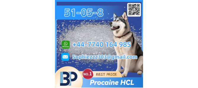 CAS 51-05-8 Procaine HCL Certified Factory Supply