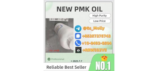 High-Grade New PMK Oil CAS 28578-16-7 | Bulk Supplier