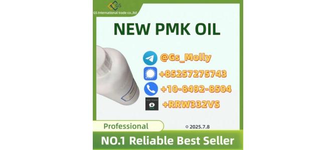 New PMK Oil (CAS 13605-48-6) - Reliable Global Supplier