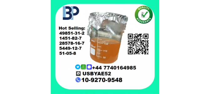 CAS 28578-16-7 BMK PMK Certified Factory Supply