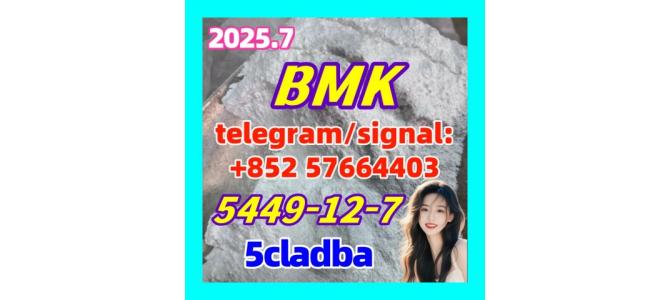 BMK Powder 5449-12-7 Manufacturer Exporter Supplier