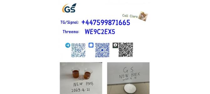 New PMK Oil CAS 28578-16-7 /1369021-80-6