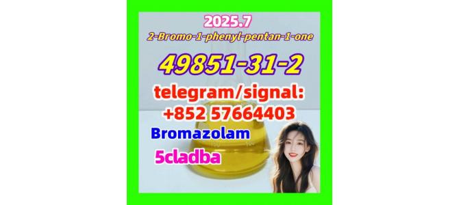 49851-31-2 2-Bromo-1-phenyl-pentan-1-one  adbb