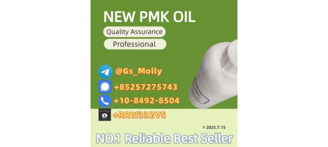 New PMK Oil (CAS 28578-16-7) - Reliable Global Supplier