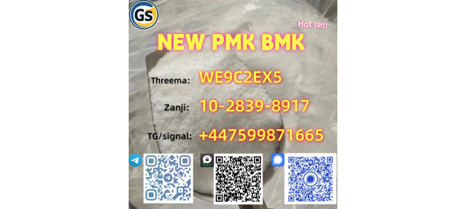 New PMK Oil CAS 28578-16-7 /1369021-80-6