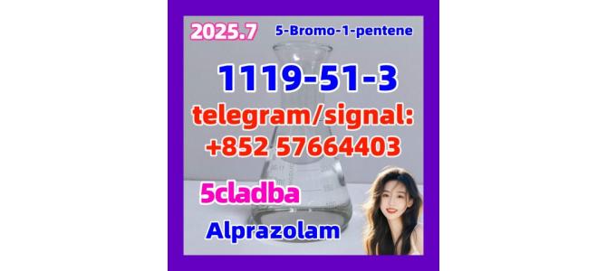 1119-51-3 5cladba 5fadb adbb  5-Bromo-1-pentene