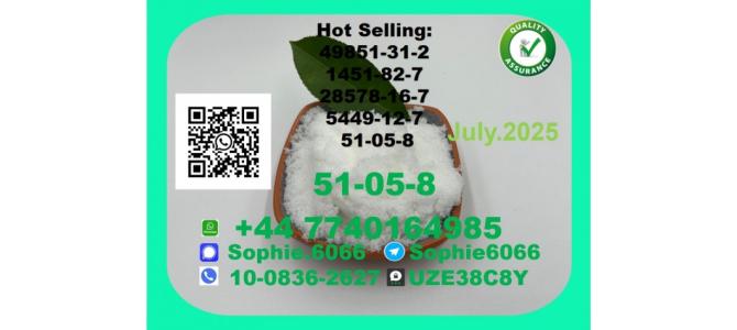 CAS 51-05-8 Procaine HCL Certified Factory Supply