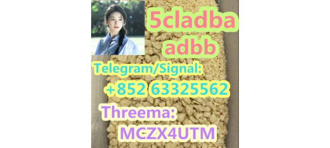 Raw materials 5CL-ADB supplier  vendor in stock