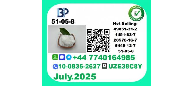 Pharmaceutical 51-05-8 Chemical raw materials