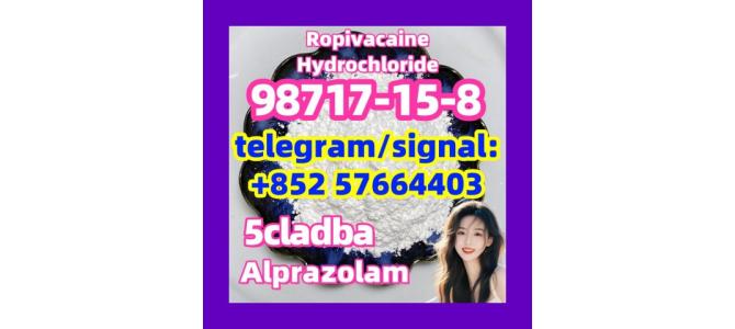 98717-15-8 Ropivacaine Hydrochloride