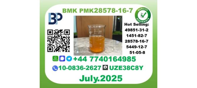 BMK & PMK Chemicals Factory CAS 28578-16-7 Stable Stock