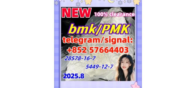 New BMK 5449-12-7 PMK 28578-16-7 718-08-1 10250-28-7
