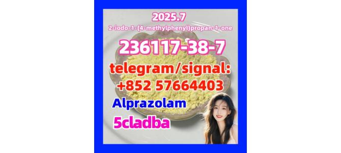236117-38-7 2-iodo-1-(4-methylphenyl)propan-1-one