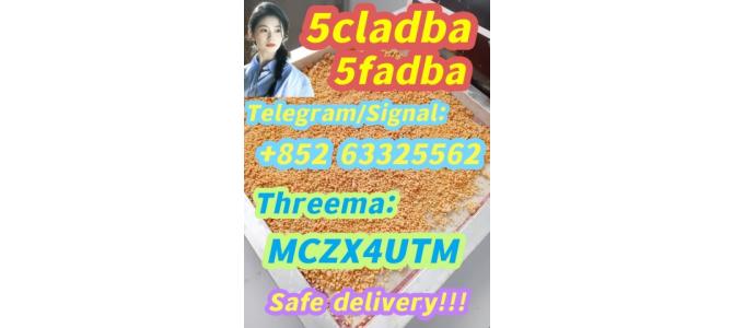 5cladba powder precursor Reliable supplier