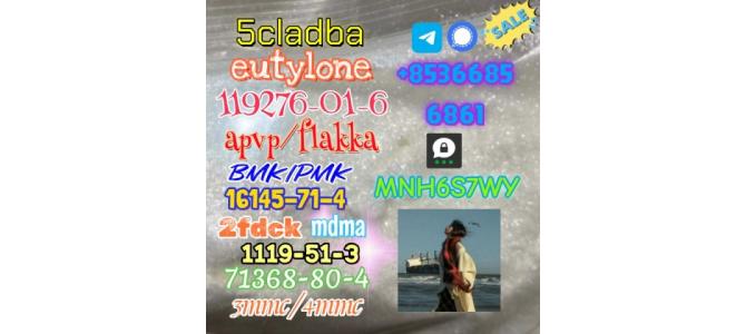 1119-51-3 factory direct sale price discount