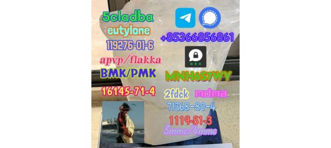 1119-51-3 factory direct sale price discount