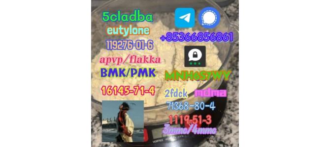 1119-51-3 factory direct sale price discount