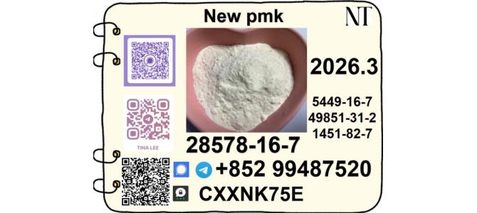 PMK ethyl glycidate 28578-16-7
