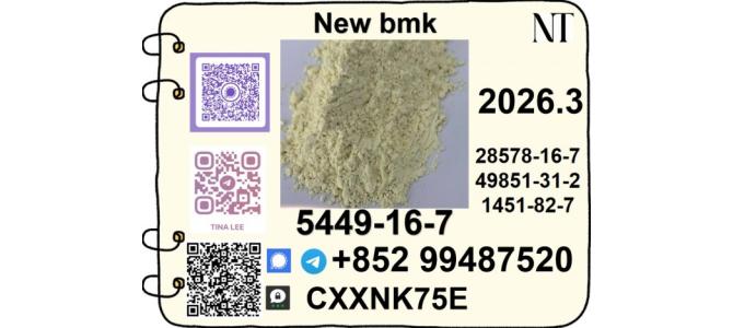 New B.M.K glycidic acid 5449-12-7