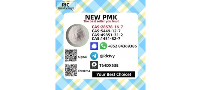 Ethyl Glycidate 28578-16-7 New P.MK Power