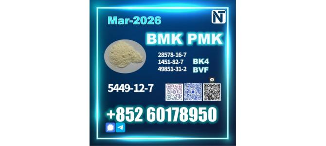 Premium New BMK 5449-12-7 PMK Always Stable