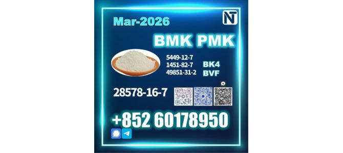 New 28578-16-7 PMK Export Grade Quality