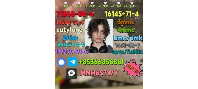 1119-51-3 factory direct sale price discount