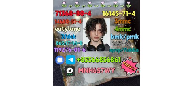 1119-51-3 factory direct sale price discount