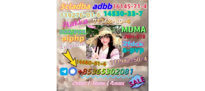 We sell high quality802855-66-9raw material powder