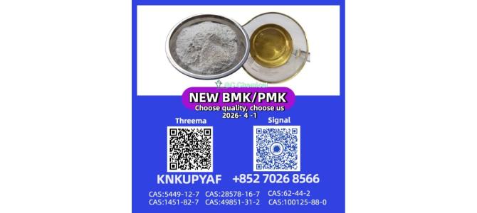 Refined PMK 28578-16-7 | Reliable Vendor