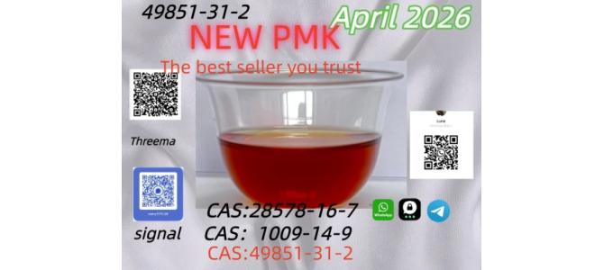 Best Quality PM.K Oil 49851-31-2