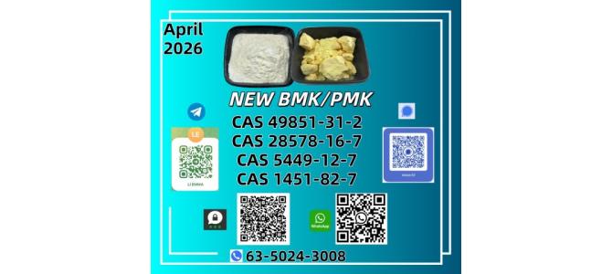 NEW BMK CAS 28578-16-7CAS 5449-12-7CAS 49851-31-2In Stock