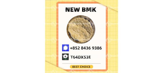 5449-12-7 New B.MK Glycidic Acid Powder