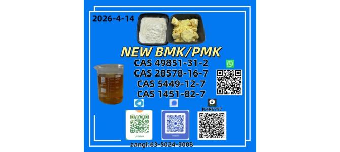 NEW BMK CAS 28578-16-7CAS 5449-12-7CAS 49851-31-2In Stock