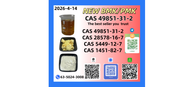 NEW BMK CAS 28578-16-7CAS 5449-12-7CAS 49851-31-2In Stock
