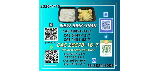NEW BMK CAS 28578-16-7CAS 5449-12-7CAS 49851-31-2In Stock
